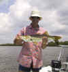 bobfish.JPG (103497 bytes)